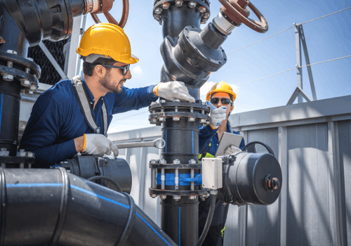 Asset Protection Optimization 1 1