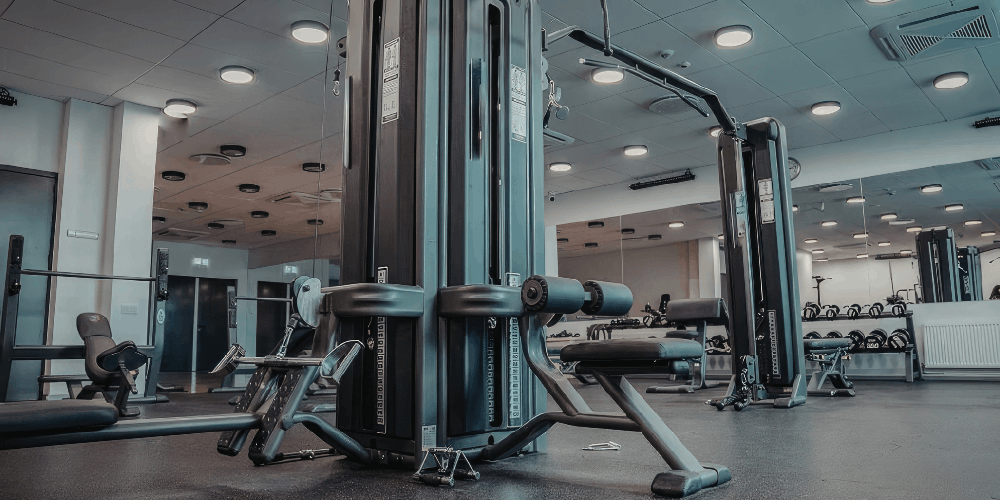 Project Management & Coordination –