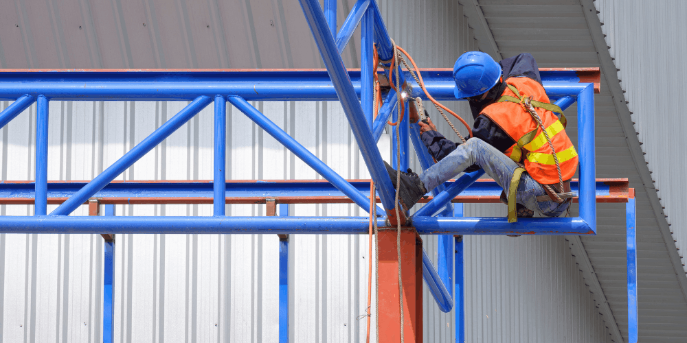 Project Management & Coordination